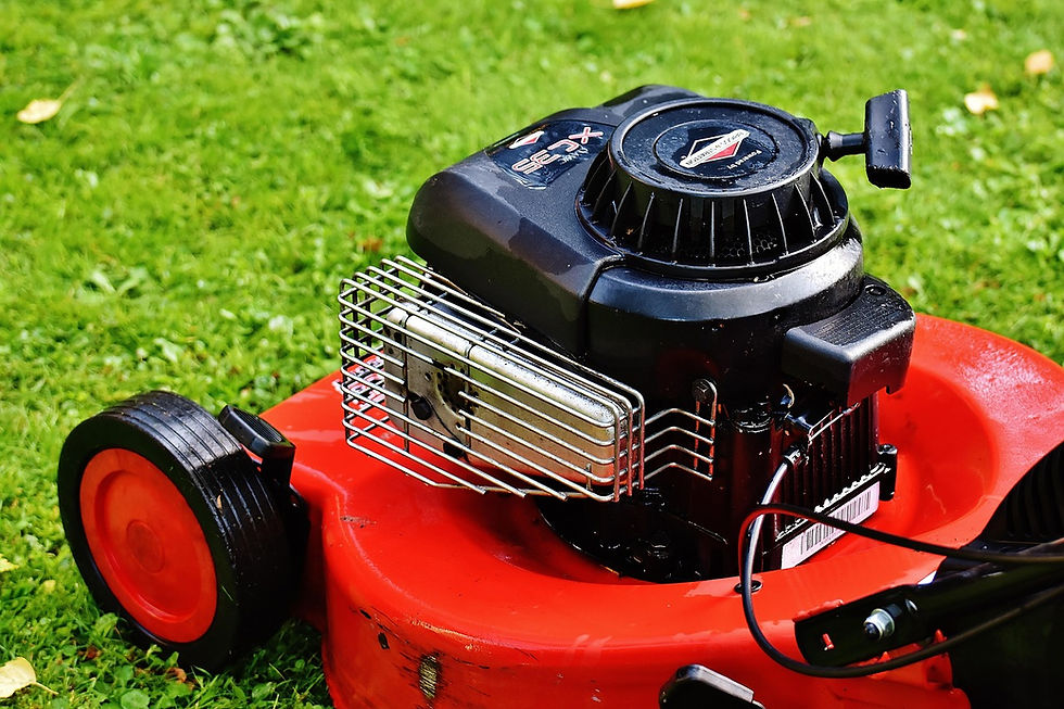 Gartenservice.jpg