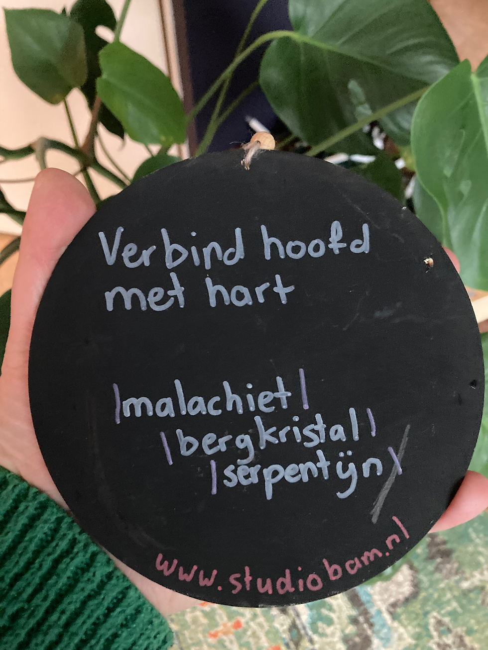 Thumbnail: Minigridhanger ‘Verbind hoofd met hart’