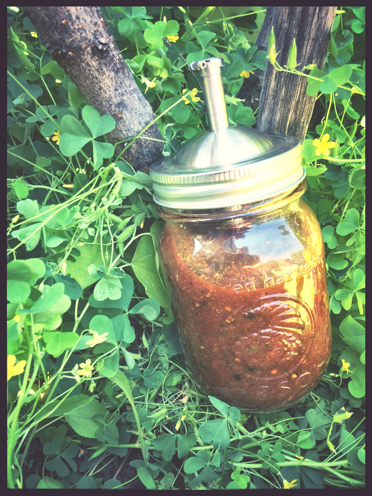 SAUCE BBQ AU JUS DE POMME & PIMENT JALAPEÑO