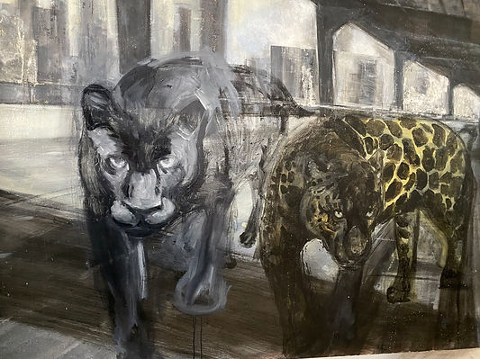 Shamanic Healing Quantum Healing IQM certified practitioner near me 