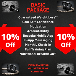 Discount Basic Online Picture.png