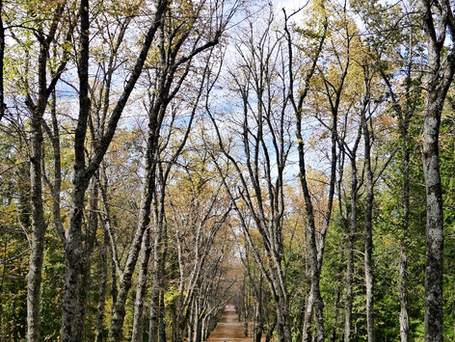 Dualidades: la condición humana