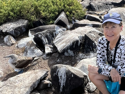 Updates from Galapagos