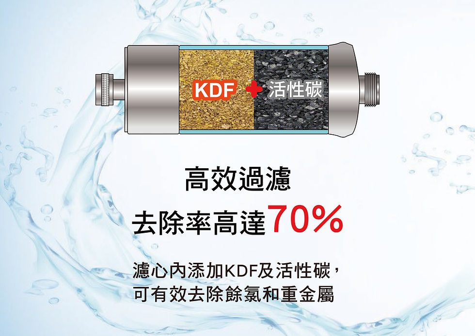 縮圖：Honeywell沐浴過濾器\蓮蓬頭過濾器