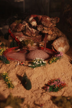 내장산2, 60x30x30, 돼지장기,2012