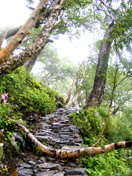 valle-de-las-flores-13