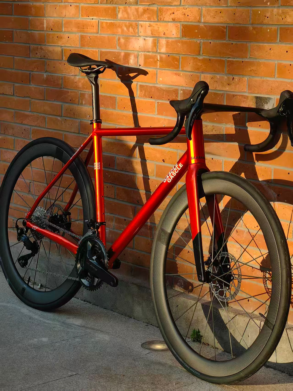 Thumbnail: GASCLE N2 AL6069 Frameset