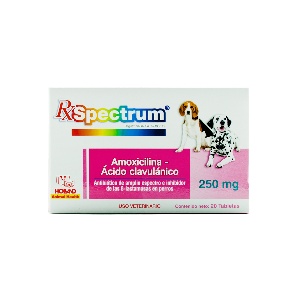 Spectrum Amoxicilina 250
