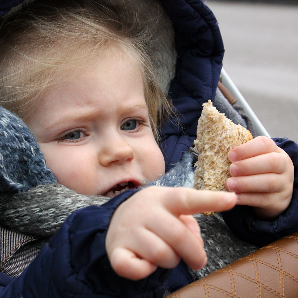 Kindje in de wandelwagen tijdens een gezinsshoot in Apeldoorn