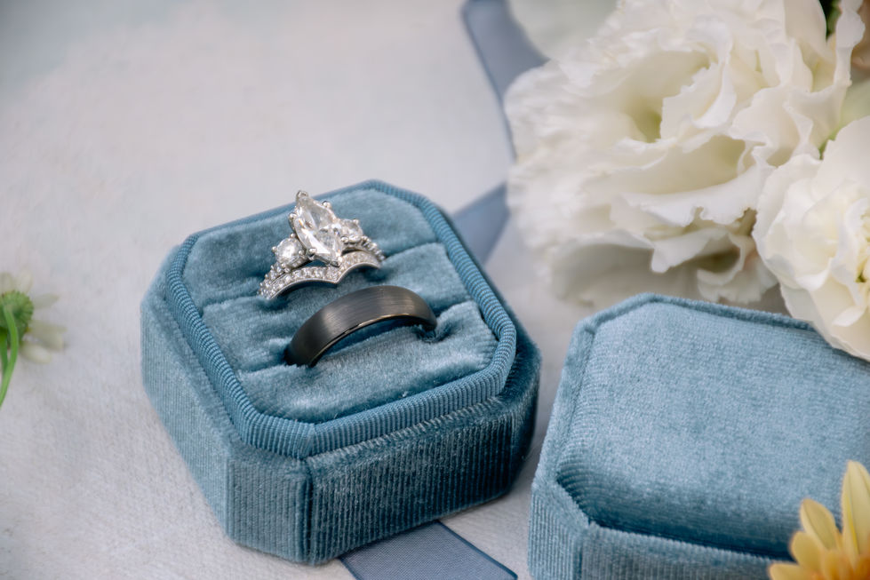 Wedding in Holly Springs, NC
