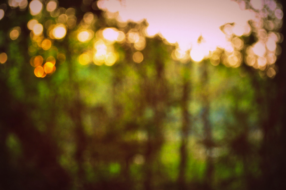 Screenshot 2025-02-07 084749.png