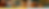 tutors-header.png