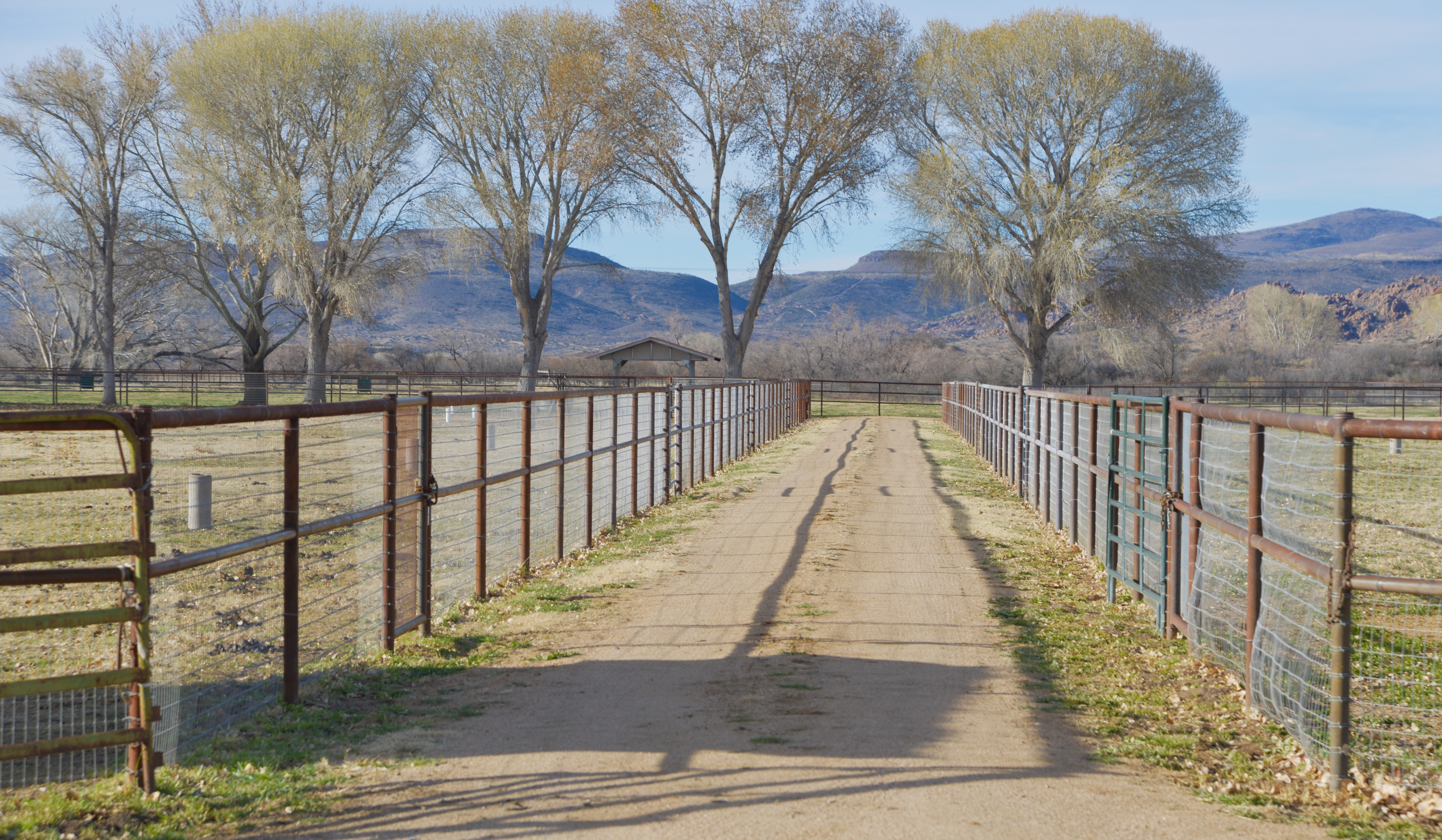 Pipe Fencing