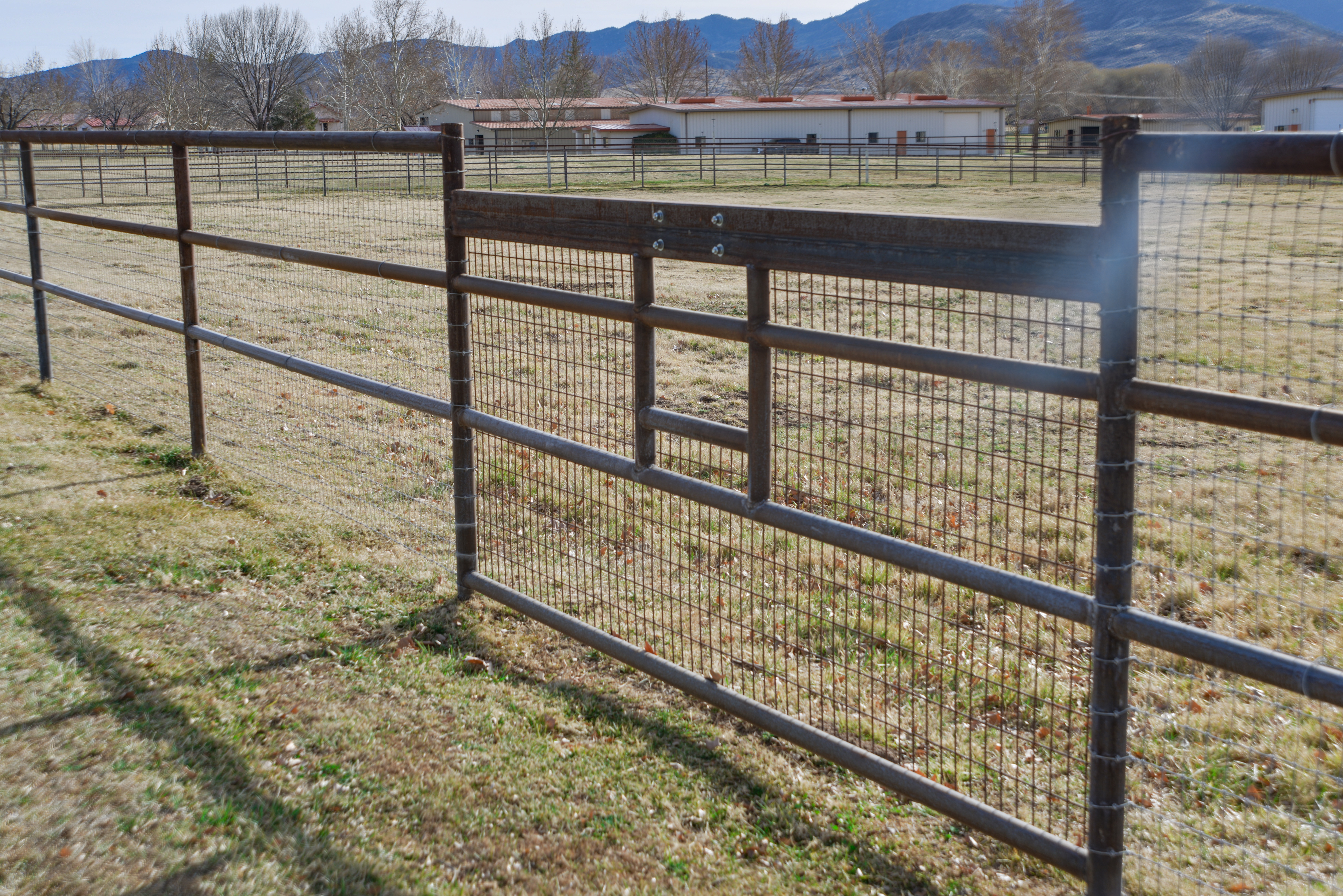 Pipe Fencing & Gate