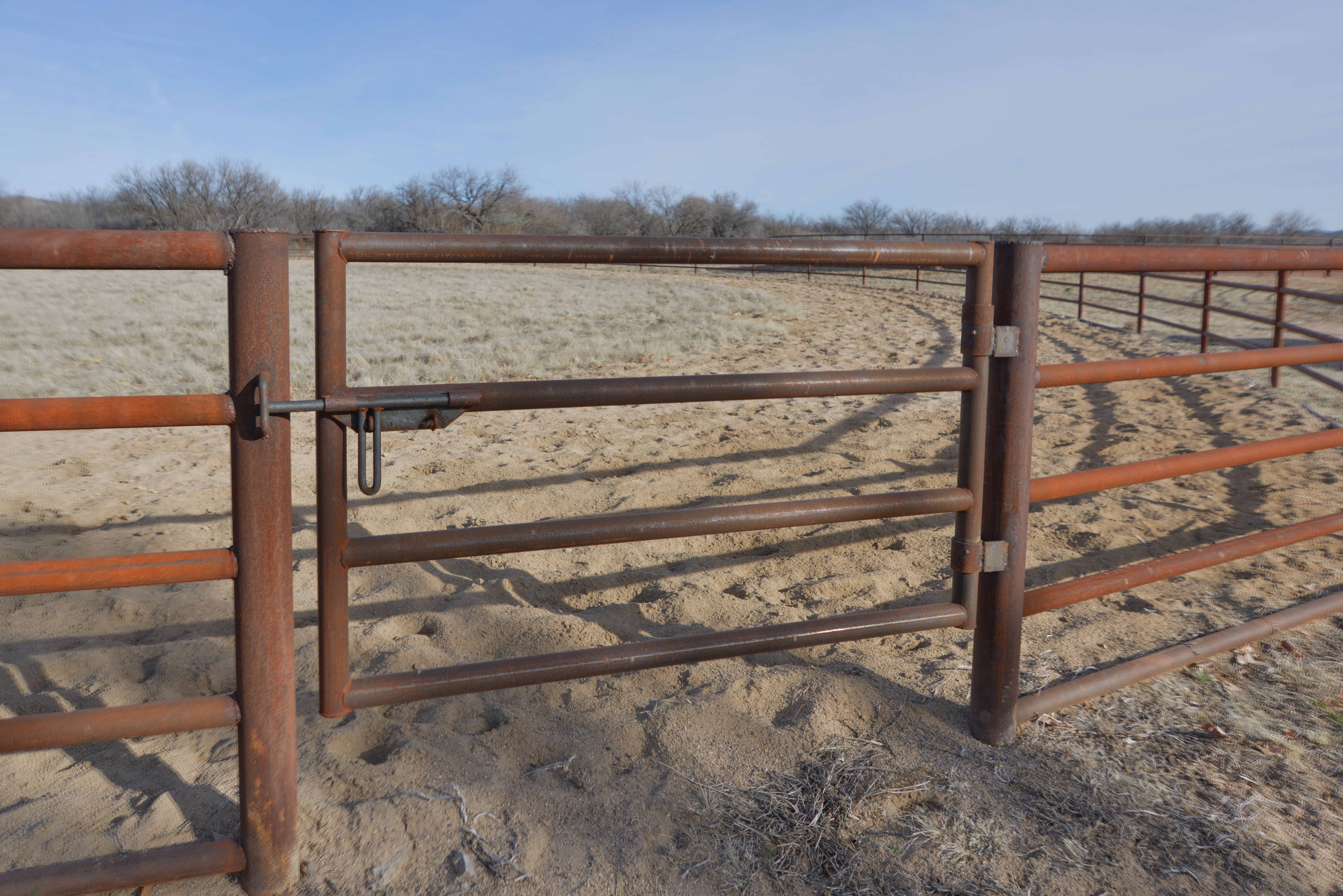 Gate & Round Pen