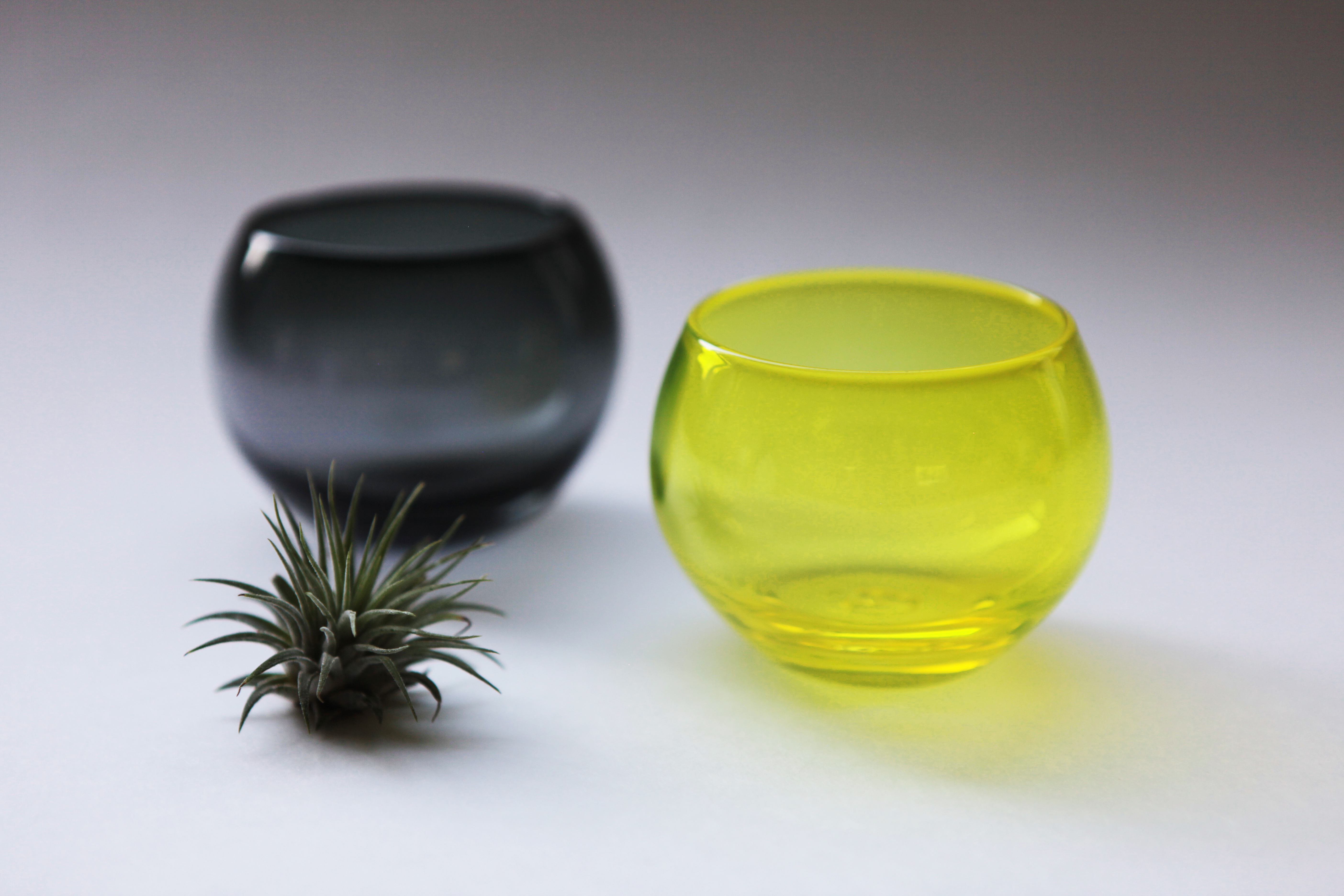 Colore / グラス