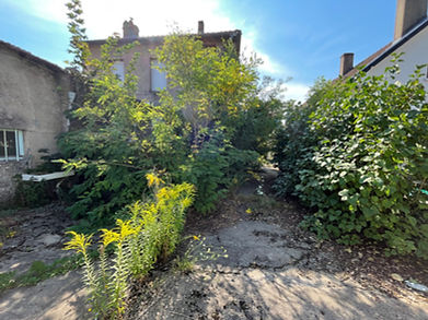 Jardin sauvage entre des bâtiments urbains anciens.