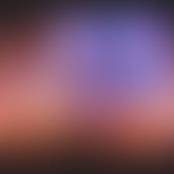 What a Night for a Dance and Revelry! 