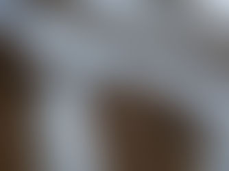 Good-Faith Presumption under Paycheck Protection Program