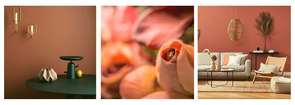 Eléments de décoration intérieure utilisés pour les projets Ligne Parallèle