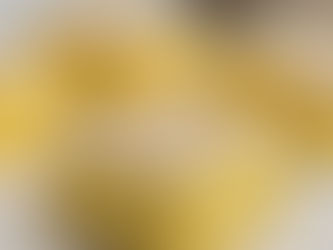 CHEATS VANILLA SLICE