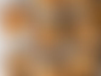 VERSATILE FIVE-CUP SLICE