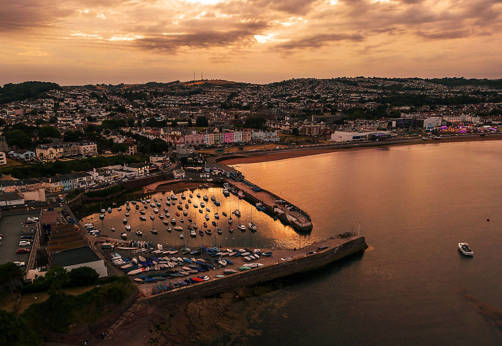 FAQ-bkgd-Paignton-aeriel-view-2.jpg