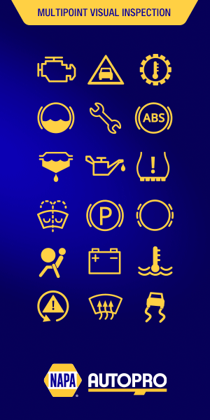 PAP_NPR25003_Promo2025_BandeauWeb_300x600_EN.gif