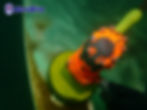 MaxiDive diver using hydraulic cleaning tool to remove marine growth from vessel hull underwater