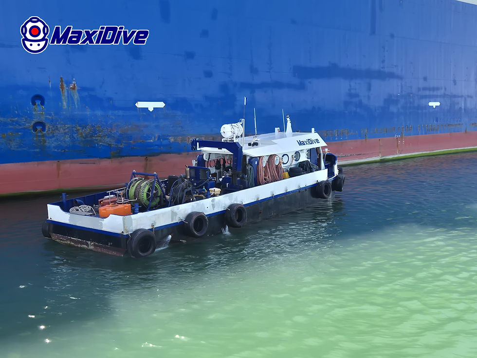 工作船 MaxiDive 配备潜水设备,在水下检查和清理作业期间停泊在主船旁边。