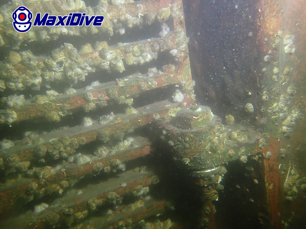 bow thruster grating inspection Thailand with hard marine growth