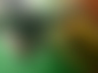 Commercial diver cleaning ship hull to reduce biofouling and fuel consumption in tropical waters