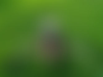 Nat lying on green grass, arms outstretched and smiling, wearing a black top and patterned skirt. Bright, sunny day. Relaxed mood.