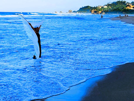 The Hidden Cost of Self-Abandonment and How Self-Trust Brings You Back Home