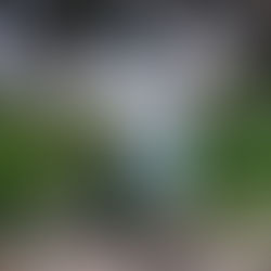 Why I’m So Over “New Year, New You” – And Why You Should Be Too