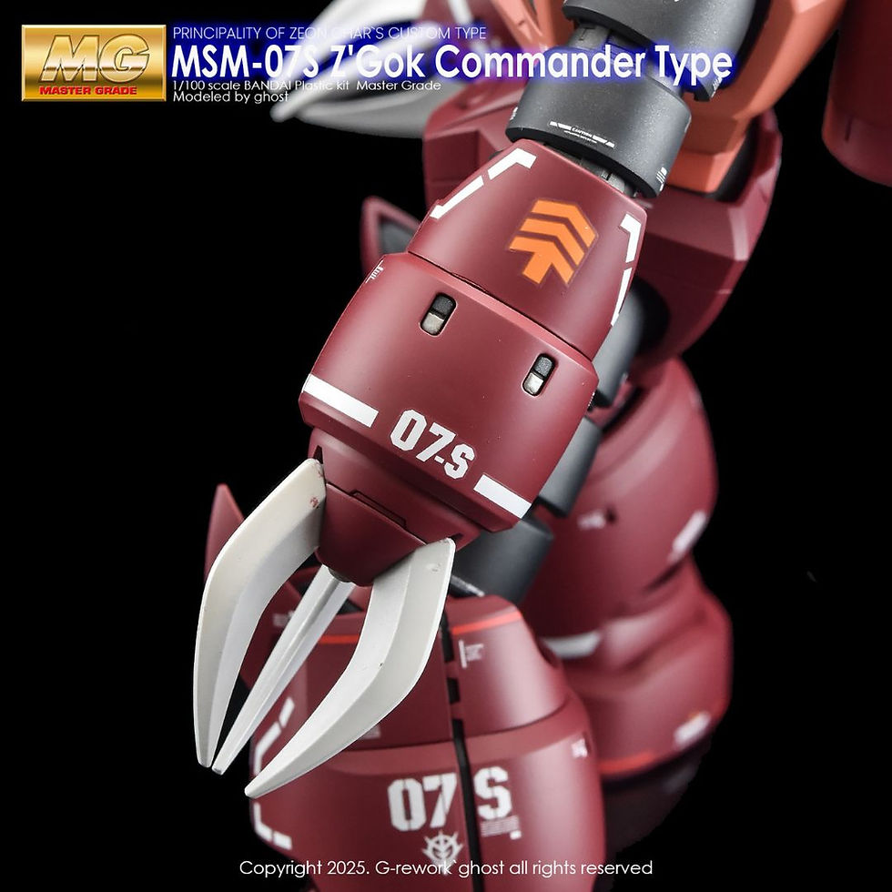 縮圖：[MG] Z'Gok Charz