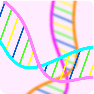 dna