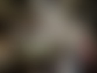 Camo Feline extraordinaire