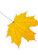 leaf3.png