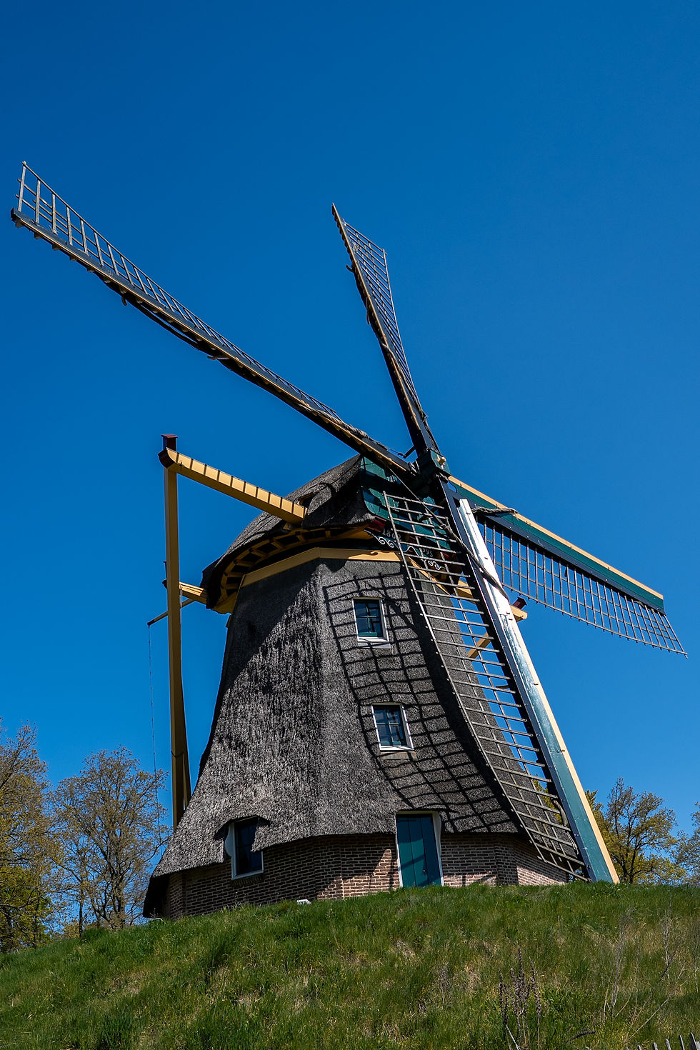 Houten windmolen met rieten kap op groene heuvel tegen heldere blauwe lucht. Bladeren van nabijgelegen bomen zichtbaar. Rustige sfeer.