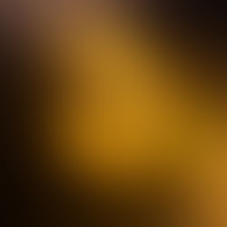 Dogecoin: The Fool’s Gold of 2021