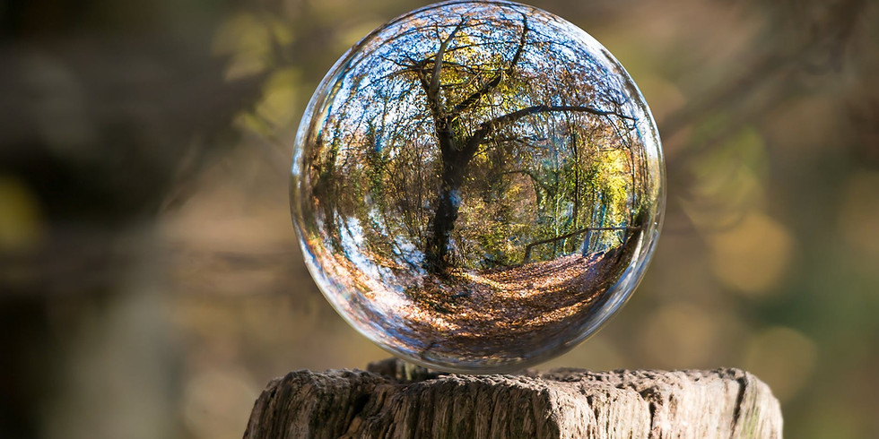 ¿Qué es la Economía Circular? Parte 2. La Economía Circular y el Cambio Climático