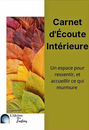 CEI 01 (couverture)_edited.jpg
