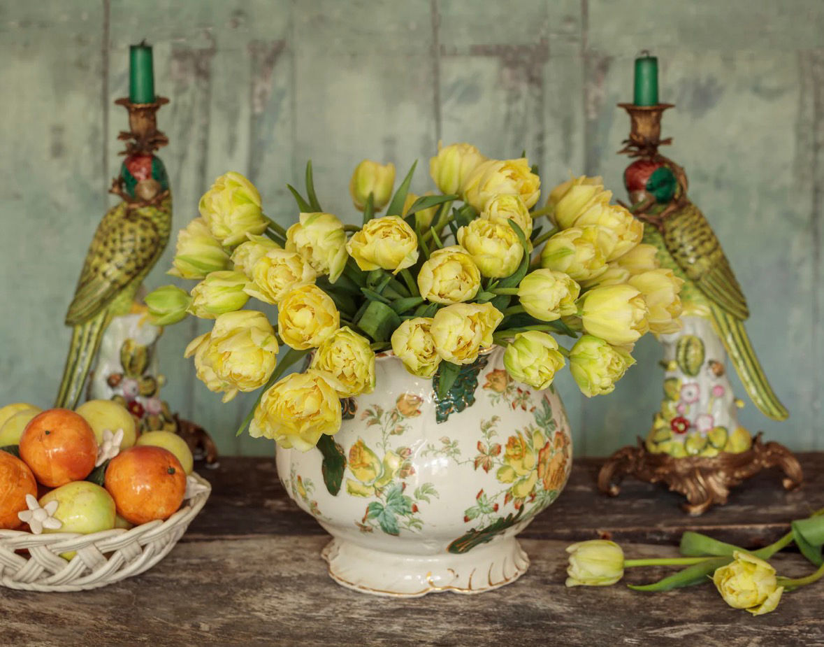 Mothers Day Pre Order Avant Garde Smith & Munson Tulips 