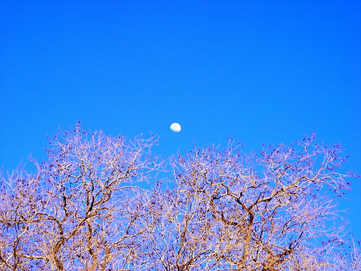 spring full moon.jpg