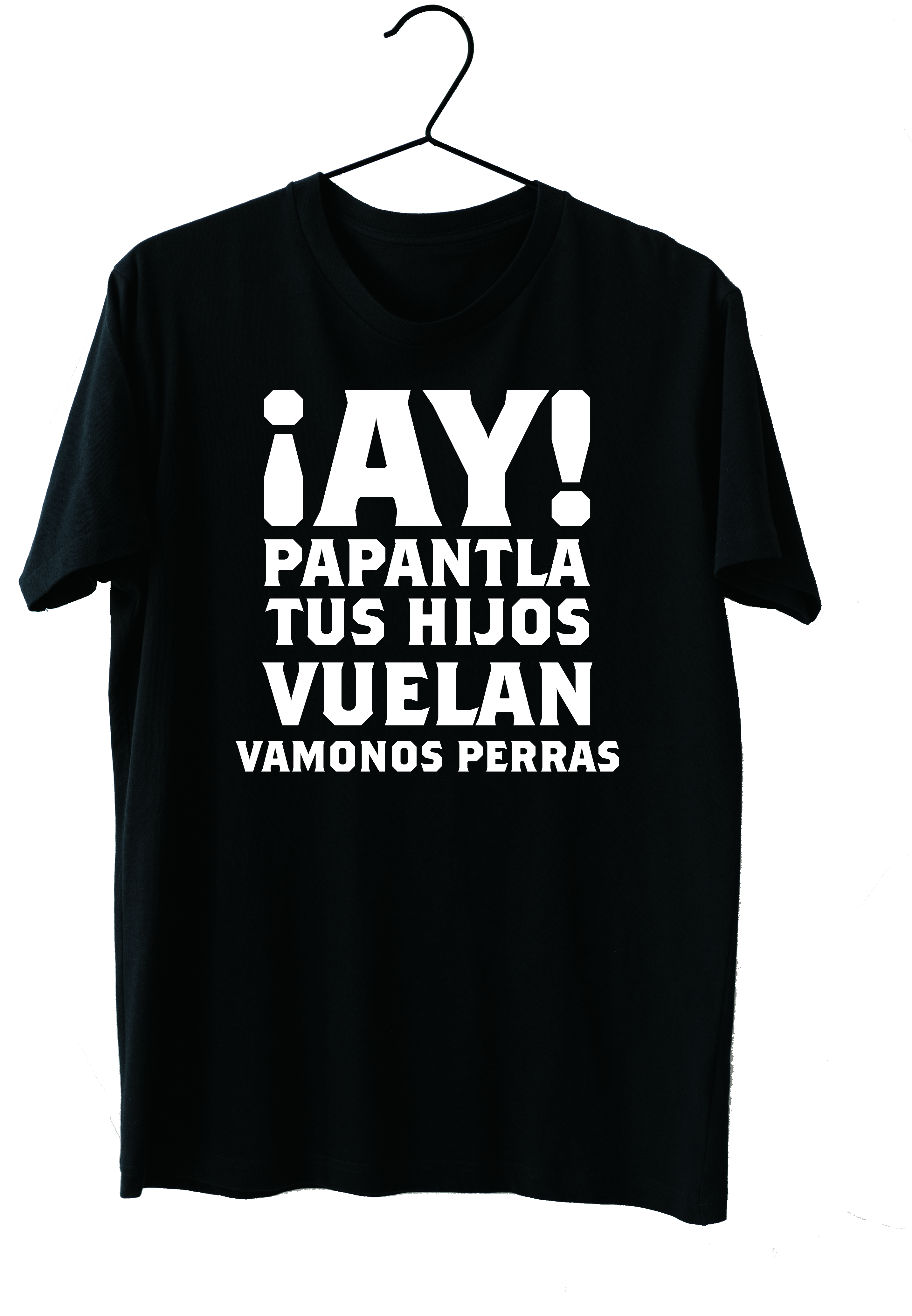 Ay Papantla Tus Hijos Vuelan