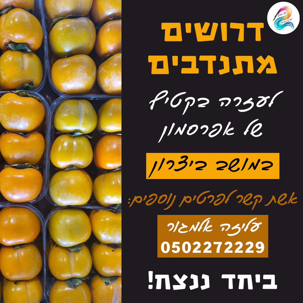 מודעה להתנדבות - קטיף ביצרון