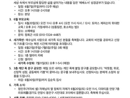 6월 7일 주보