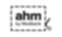 ahm.png