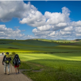 JUNE & JULY CLASS & ZOOM INFO